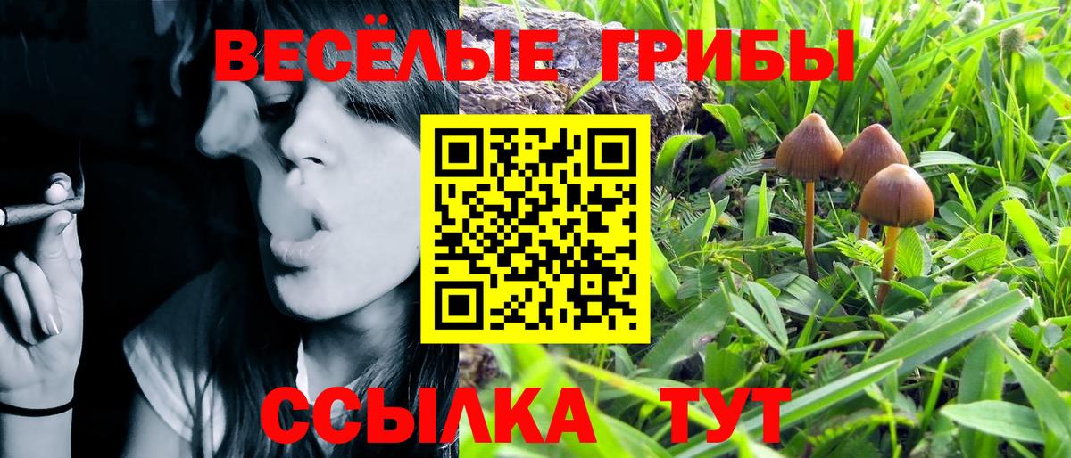 Галлюциногенные грибы Psilocybe  купить наркотик  Галлюциногенные грибы мухоморы  Беслан 