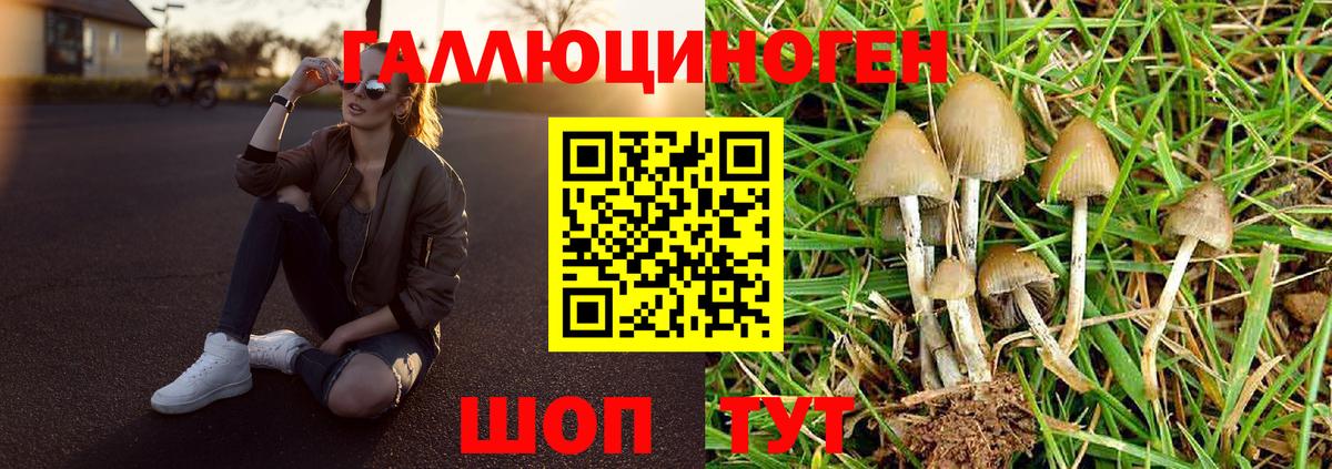 Псилоцибиновые грибы GOLDEN TEACHER Беслан